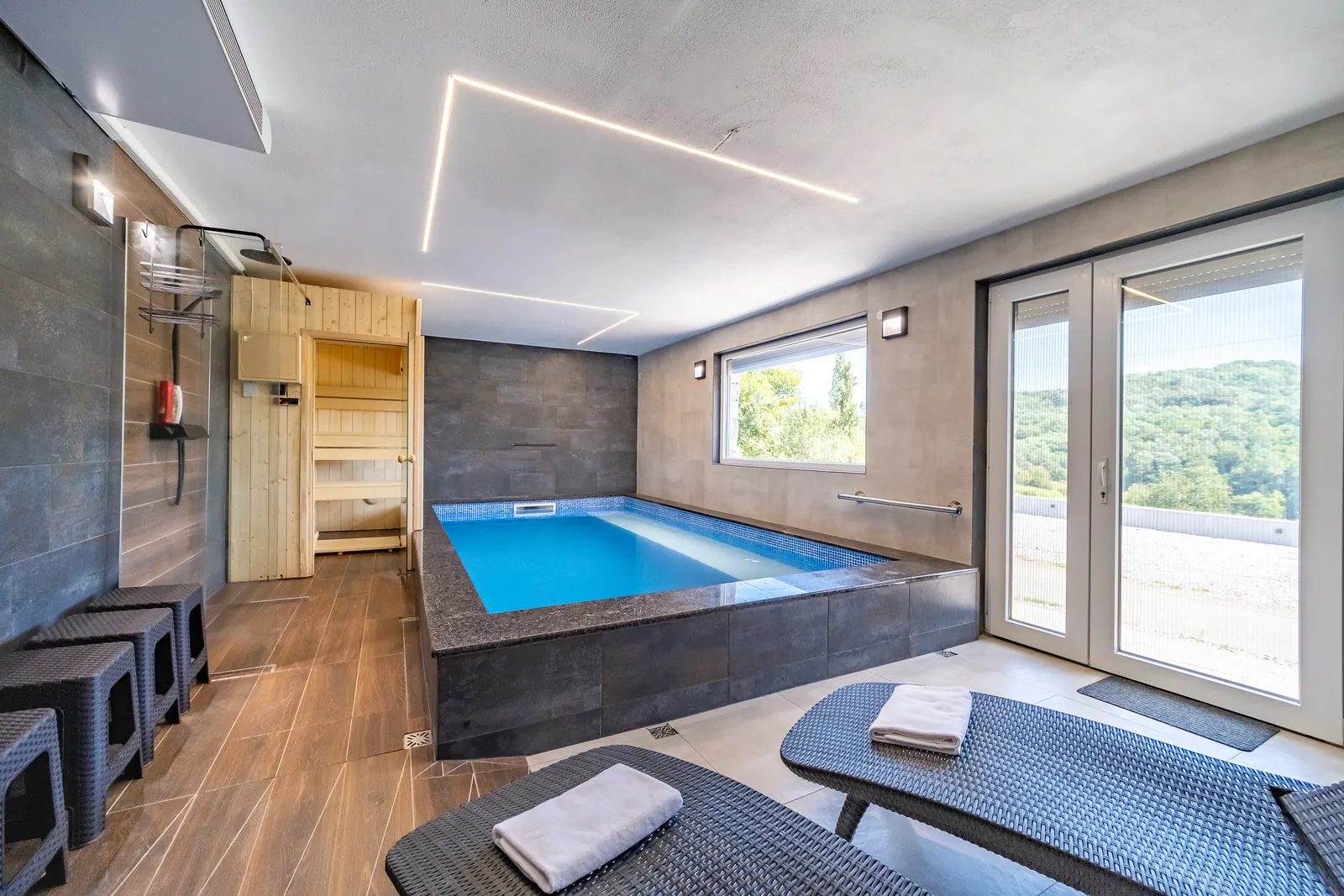 Sauna and pool detail